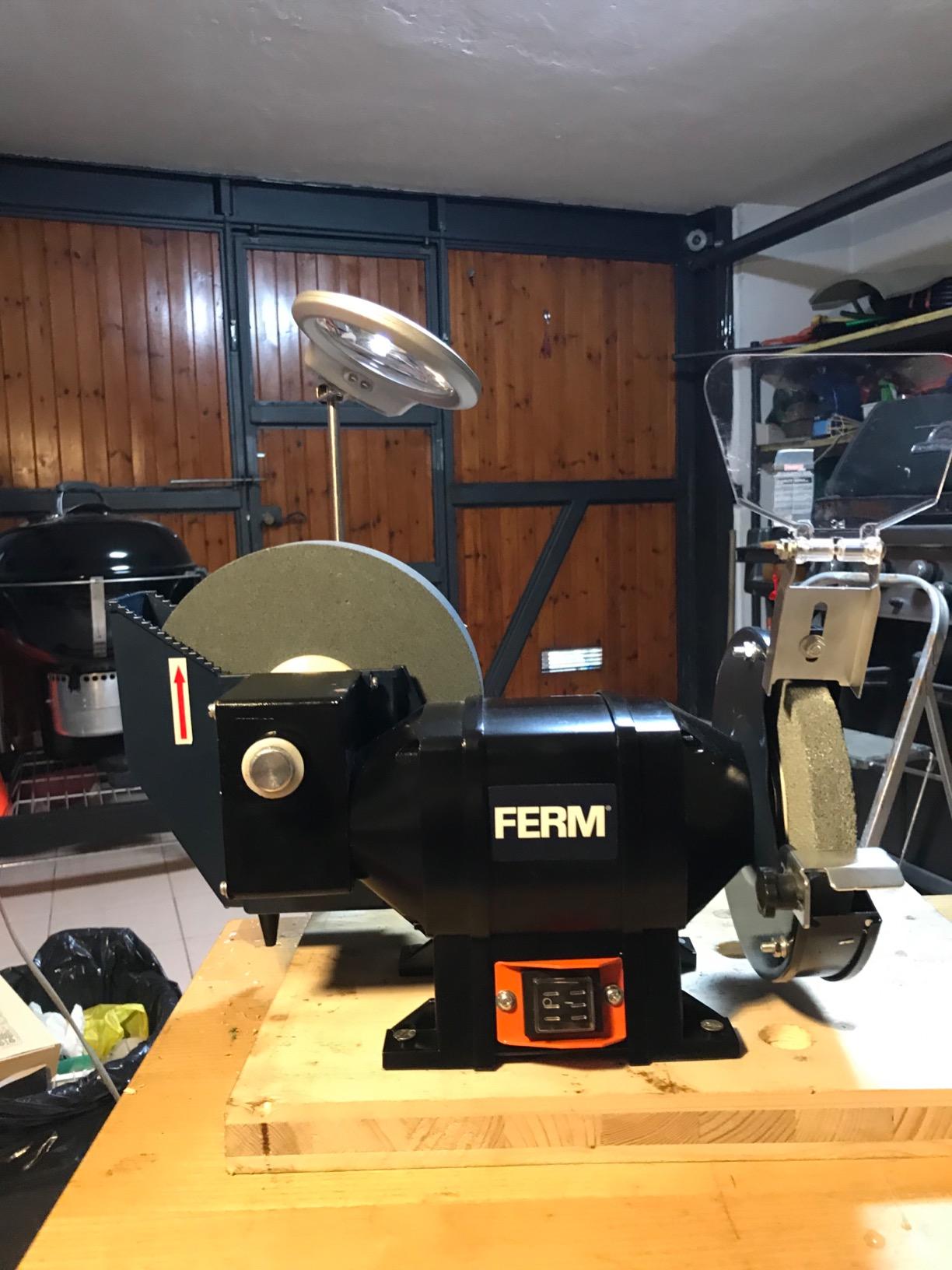Ferm BGM1021 Molatrice da Banco 250W Secco Umido 2 Mole